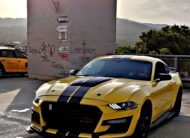 FORD MUSTANG PACK COBRA 3.6CC V6