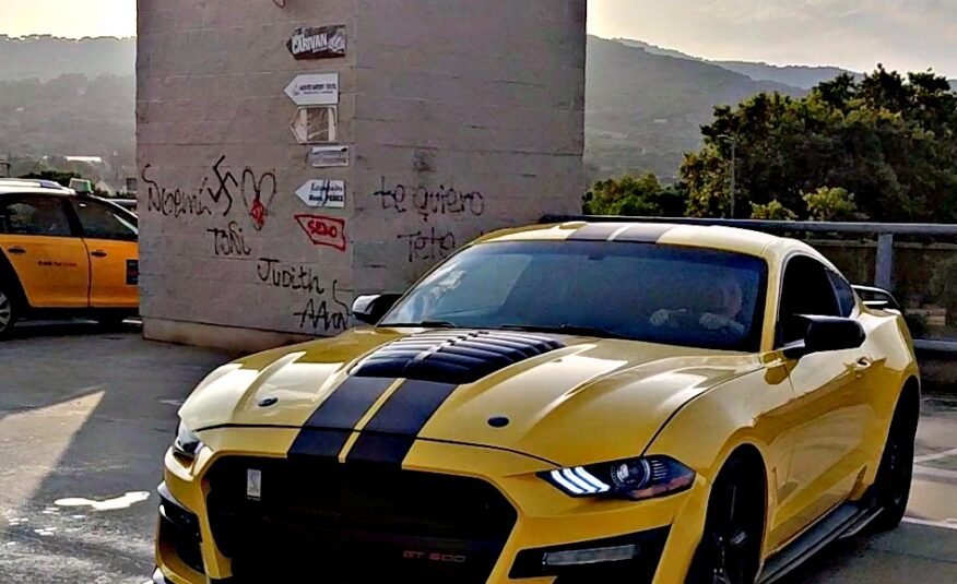 FORD MUSTANG PACK COBRA 3.6CC V6