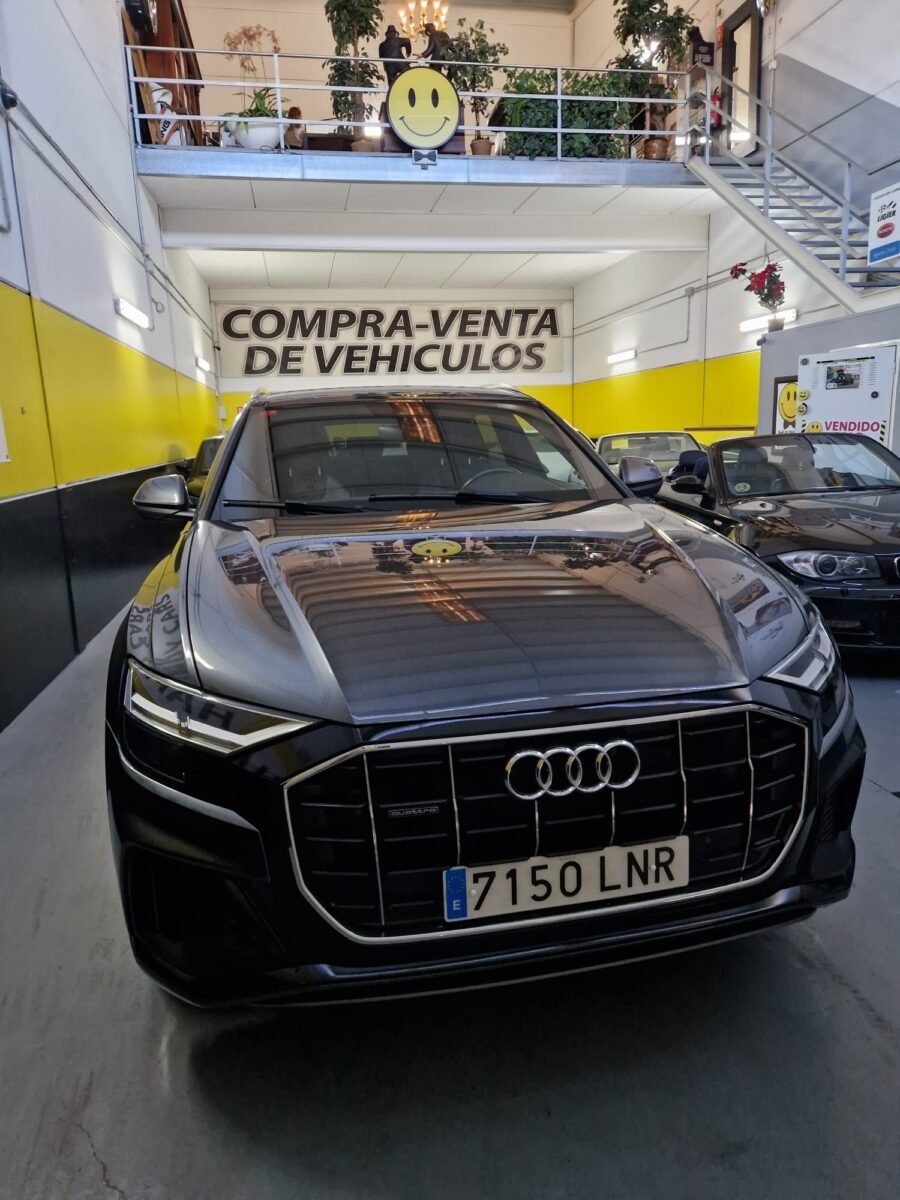 AUDI Q8 45 3.0TDI 231CV