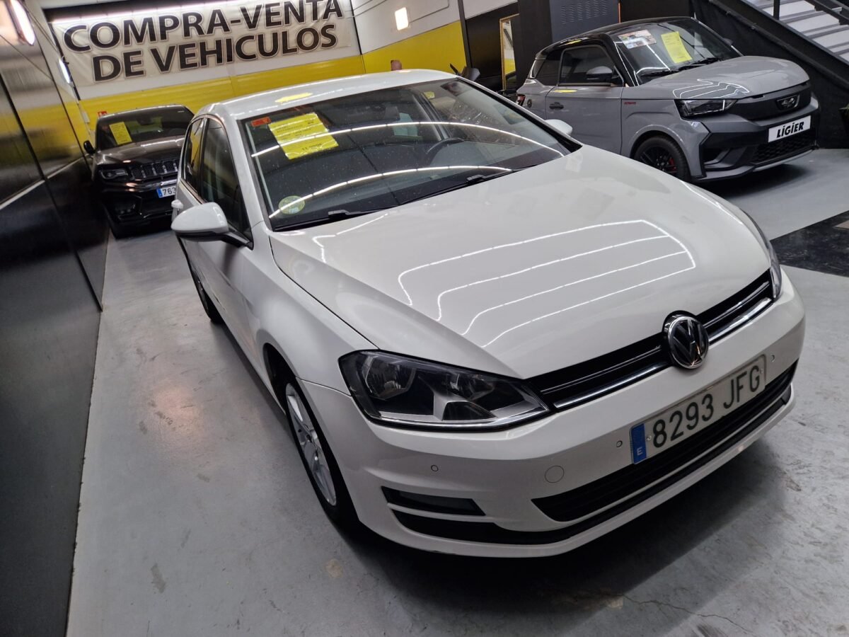 VOLKSWAGEN Golf 1.6 TDI 105CV