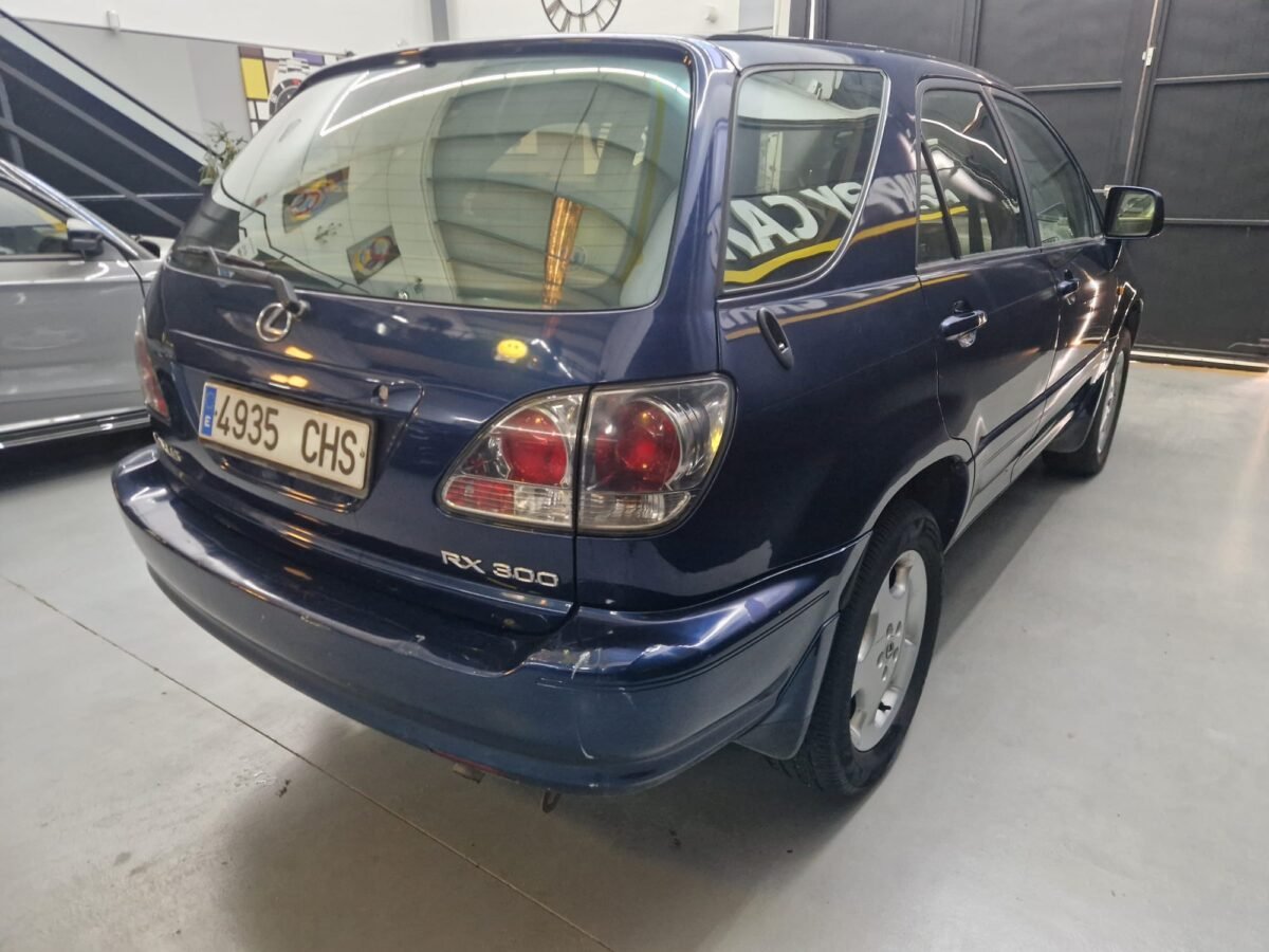 LEXUS RX 300 3.0 304CV